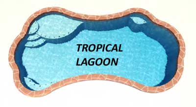 Swimming Pool Tropical Lagoon Shape San Antonio